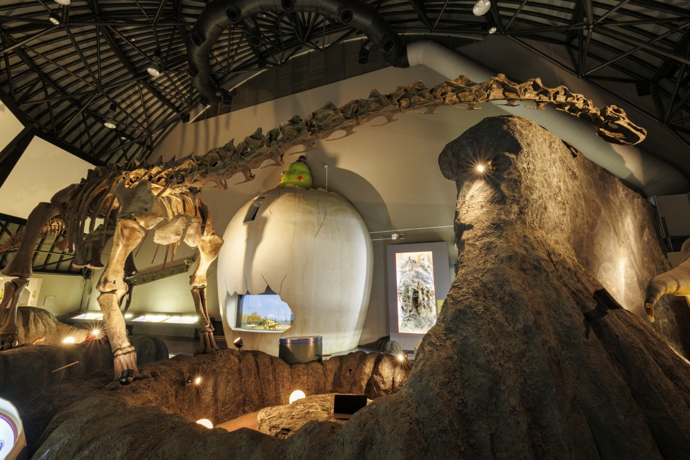 白山恐竜パーク白峰31