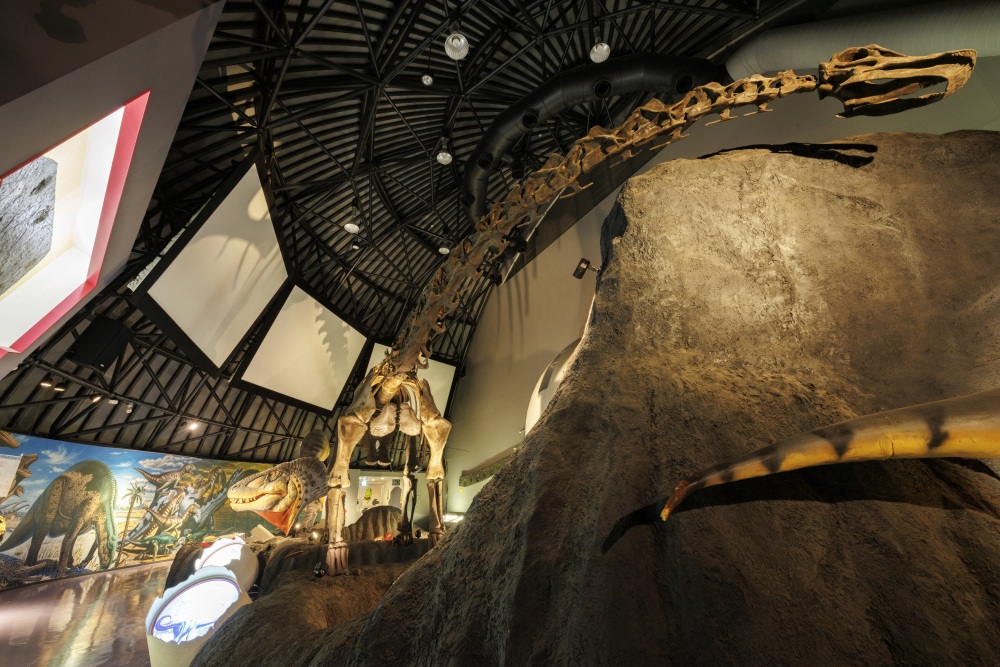 白山恐竜パーク白峰34