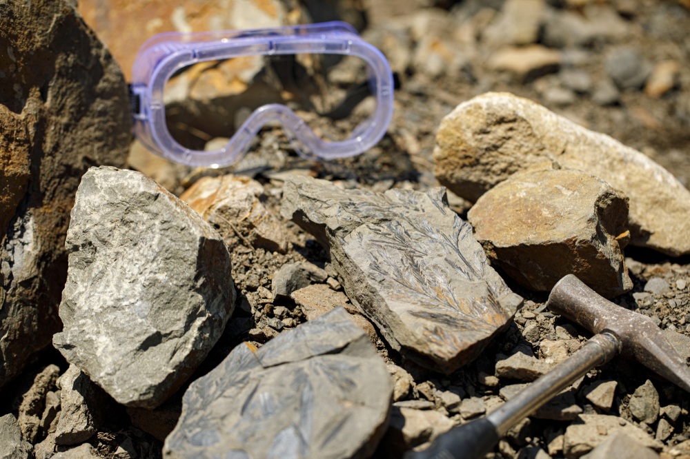 白山恐竜パーク白峰