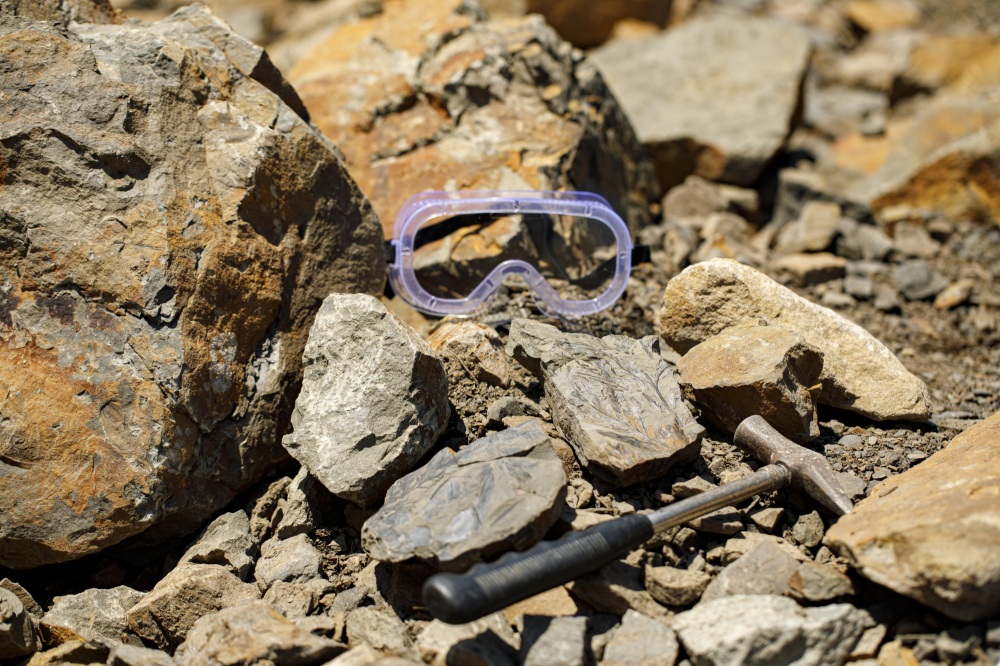 白山恐竜パーク白峰