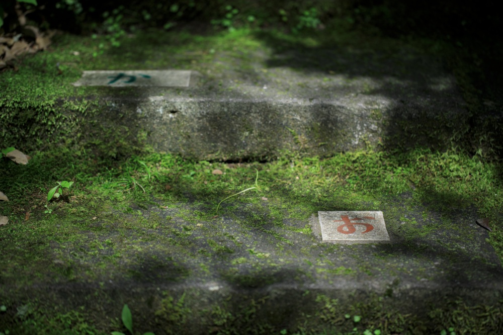 山代温泉_薬王院