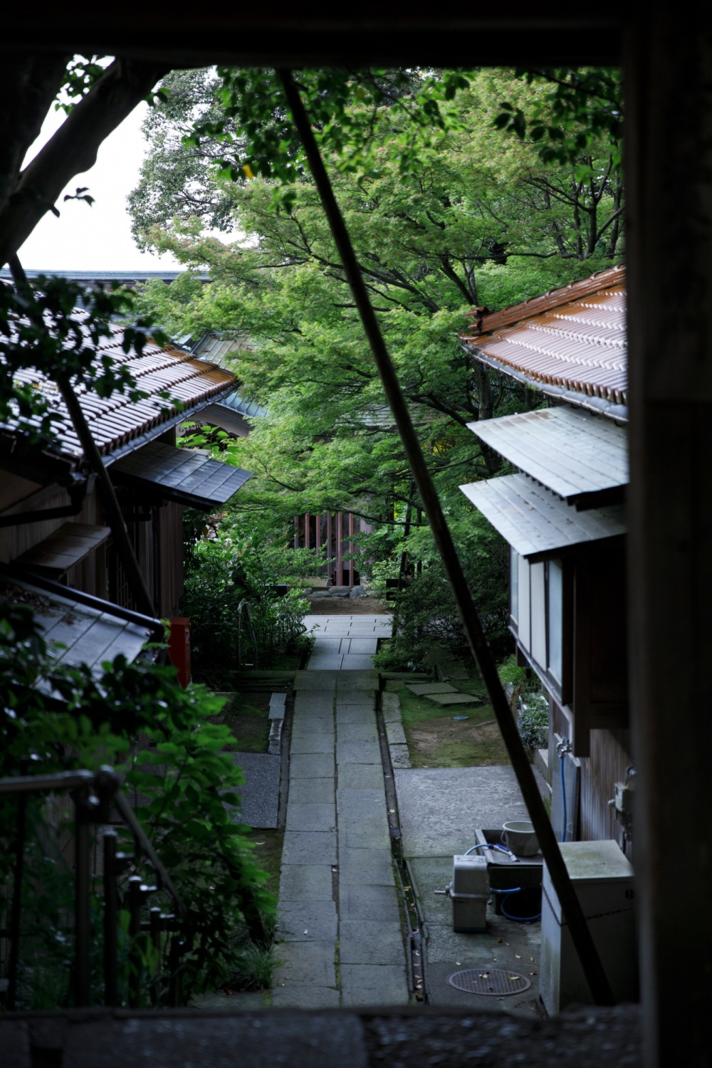 山代温泉_薬王院