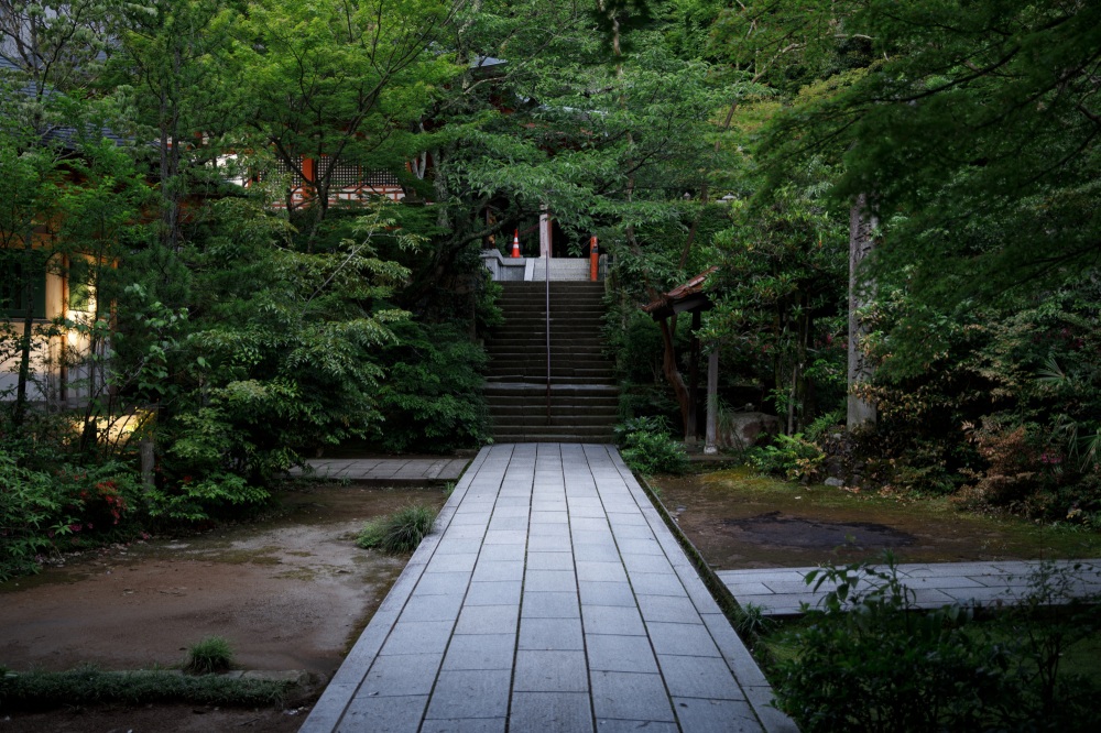 山代温泉_薬王院