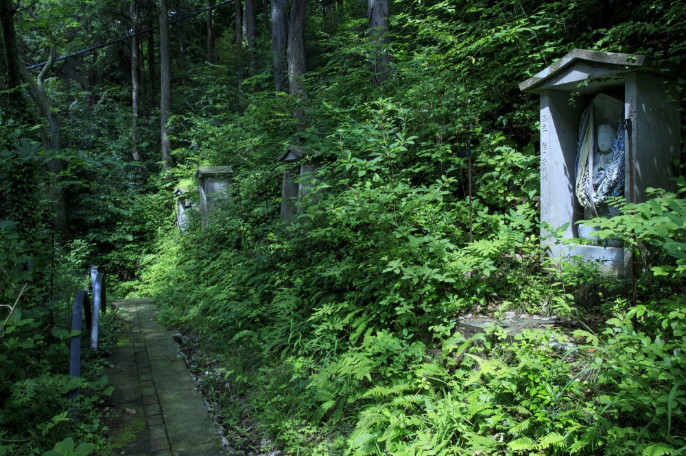 山代温泉_萬松園