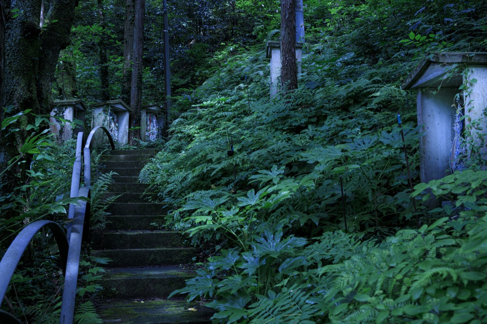 山代温泉_萬松園