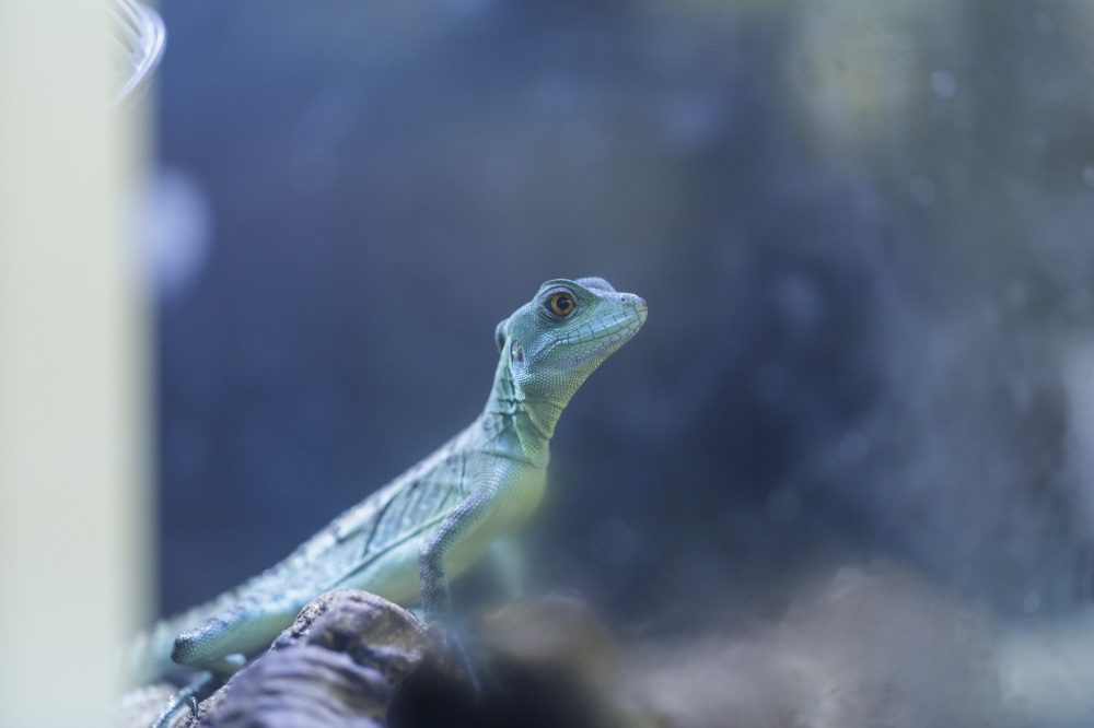 手取フィッシュランド