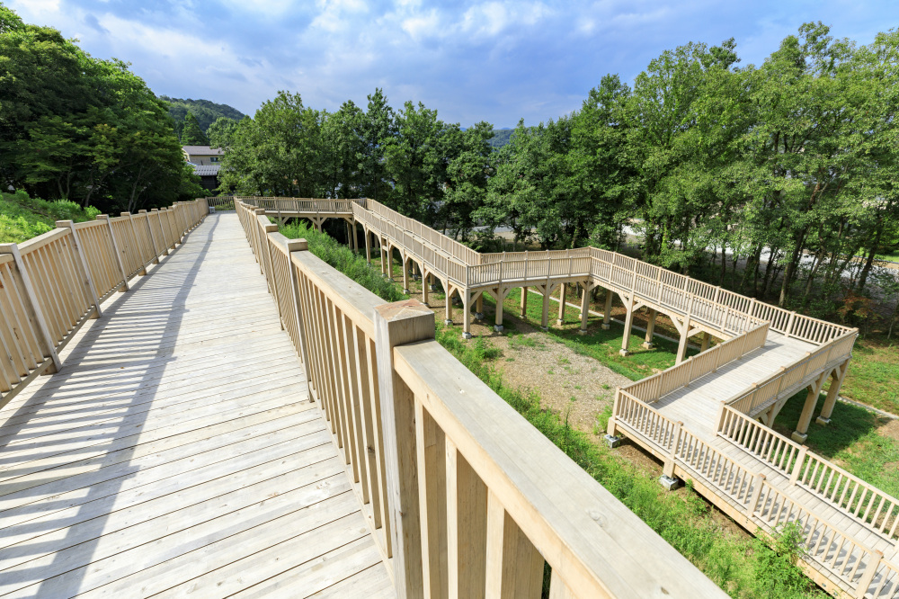 あいうえおの杜