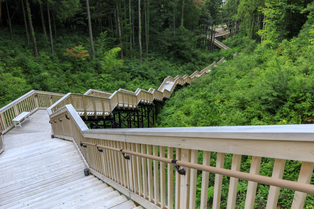 あいうえおの杜