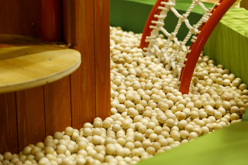 森林公園　もりのひみつきち