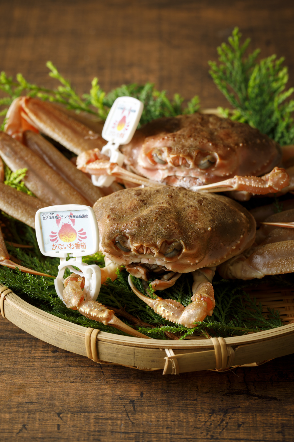 香箱ガニ