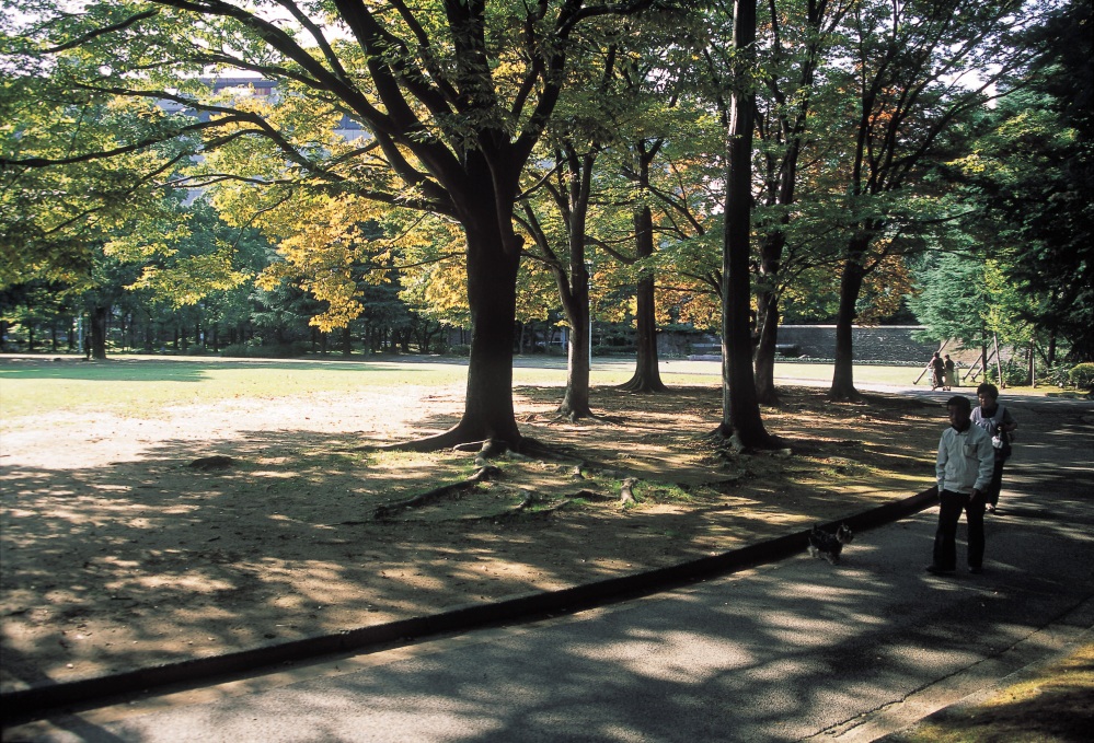 いしかわ四高記念公園