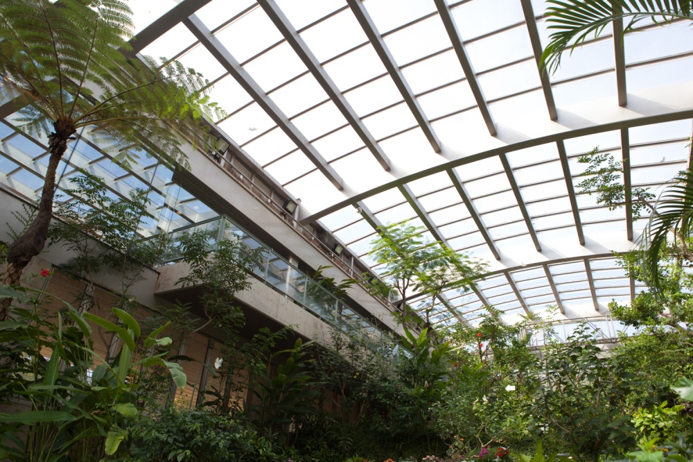 石川県ふれあい昆虫館