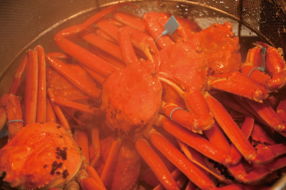 近江町　茹でかに（加能ガニ）