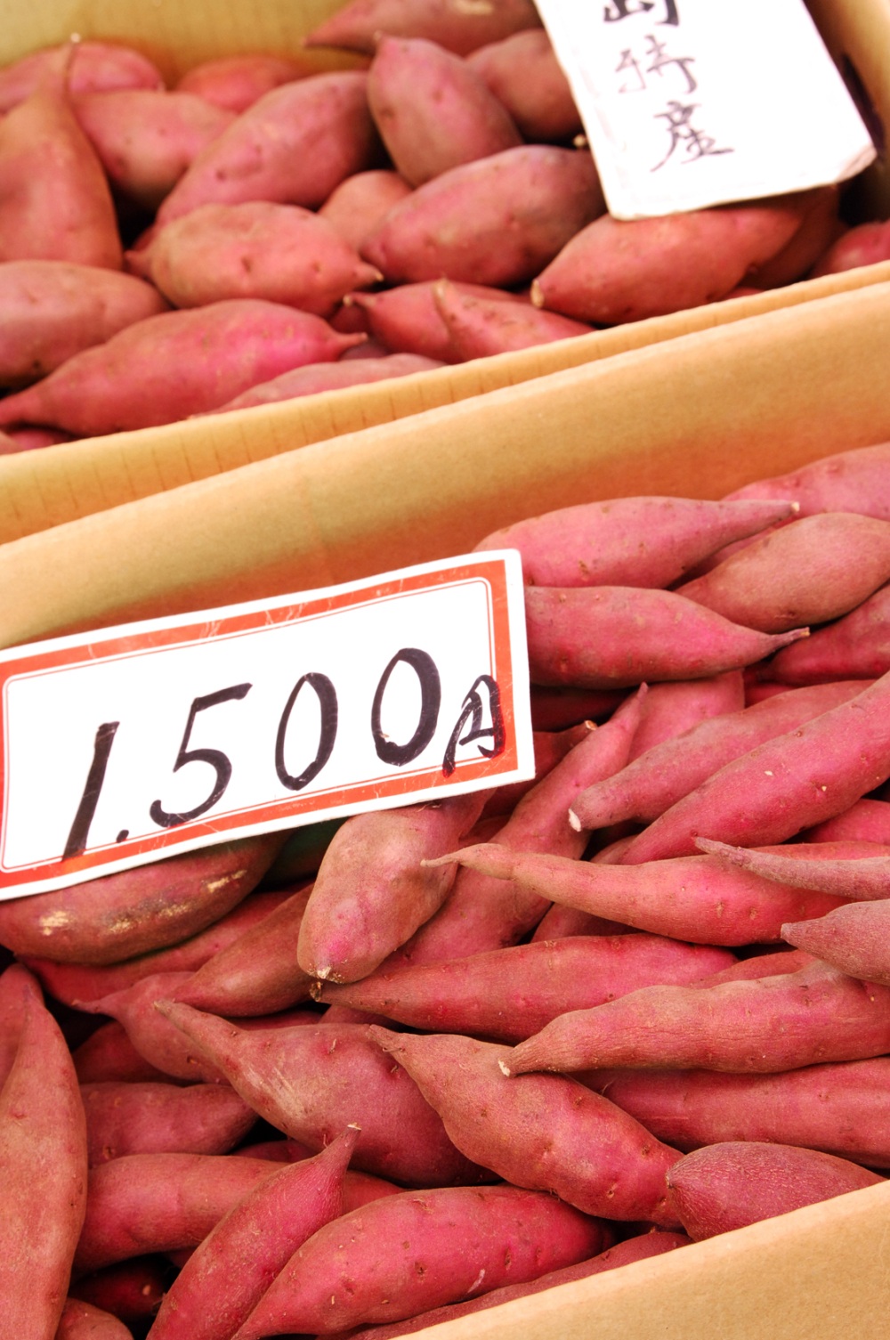さつまいも（加賀野菜）