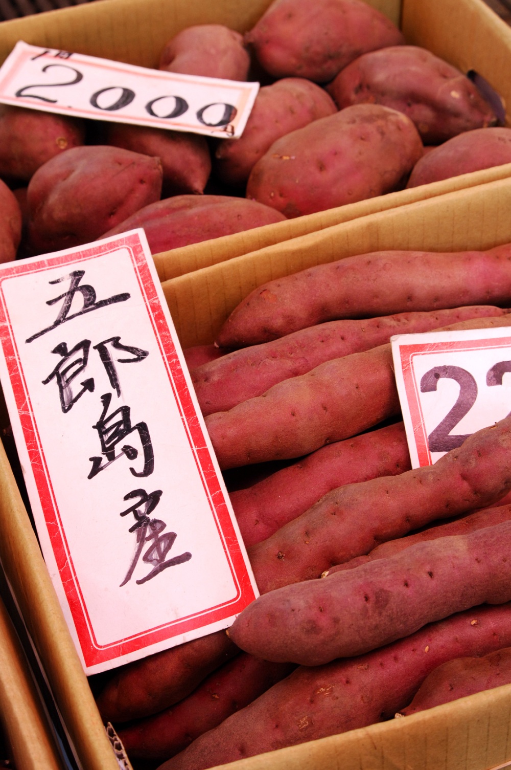 さつまいも（加賀野菜）