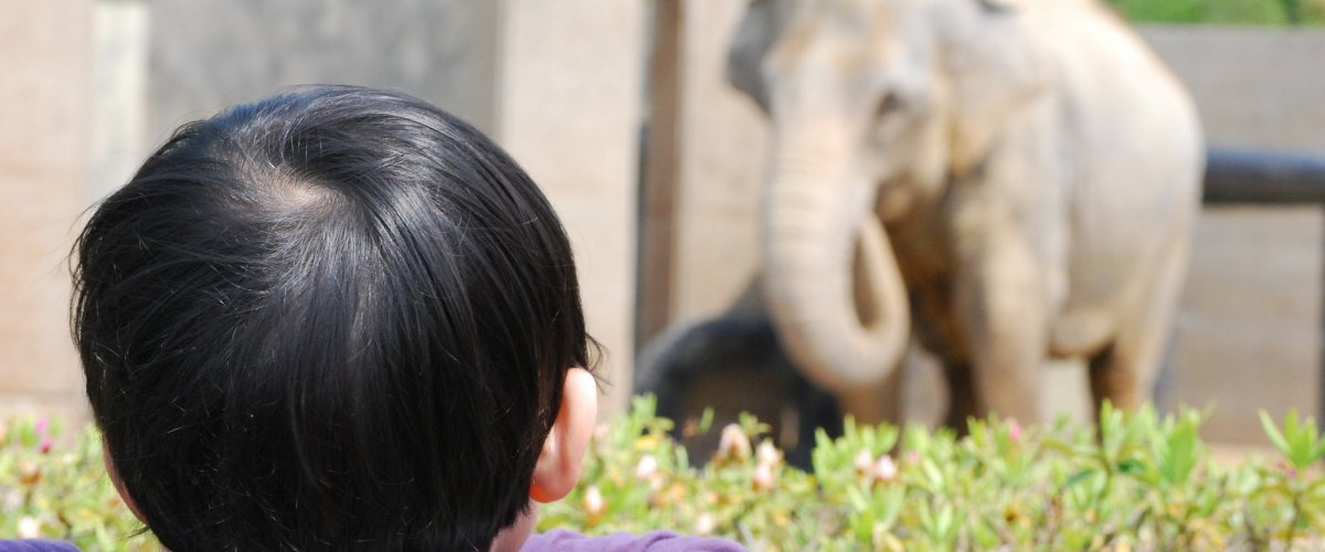 石川県の子ども連れで楽しめるスポット特集！