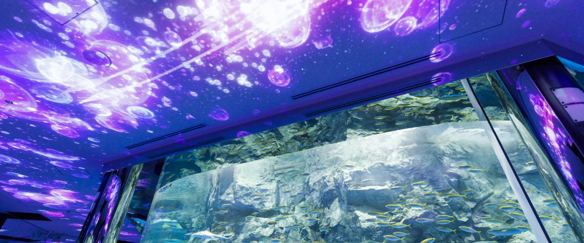 石川県の雨の日でも楽しめるスポット10選