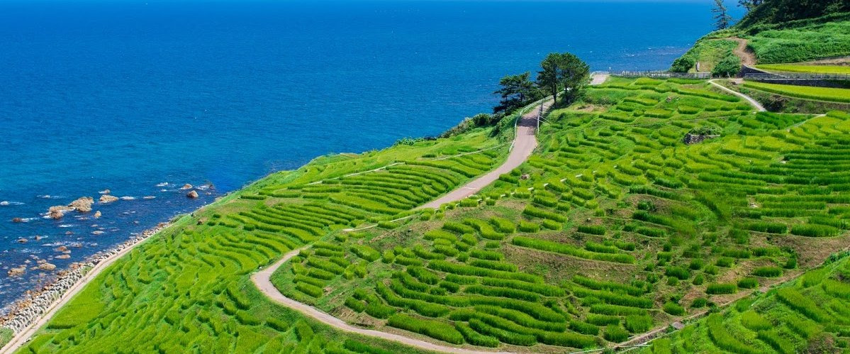 “里山里海”で本物の贅沢な時間を体験をしよう！