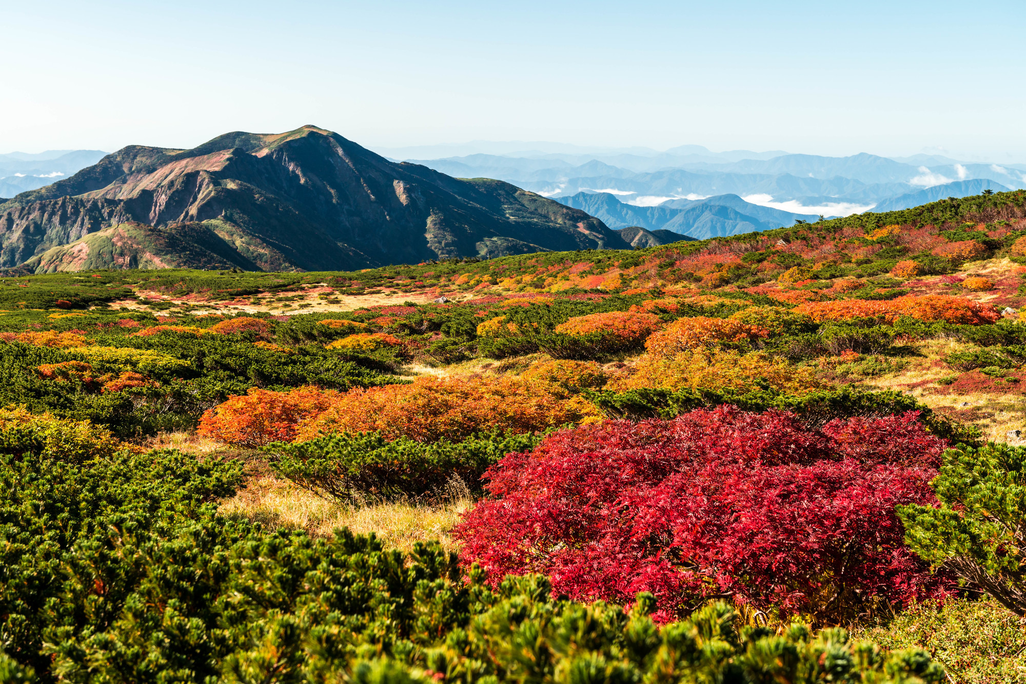 白山の魅力を徹底解説！人気のスポットや体験、グルメなど幅広くご紹介します