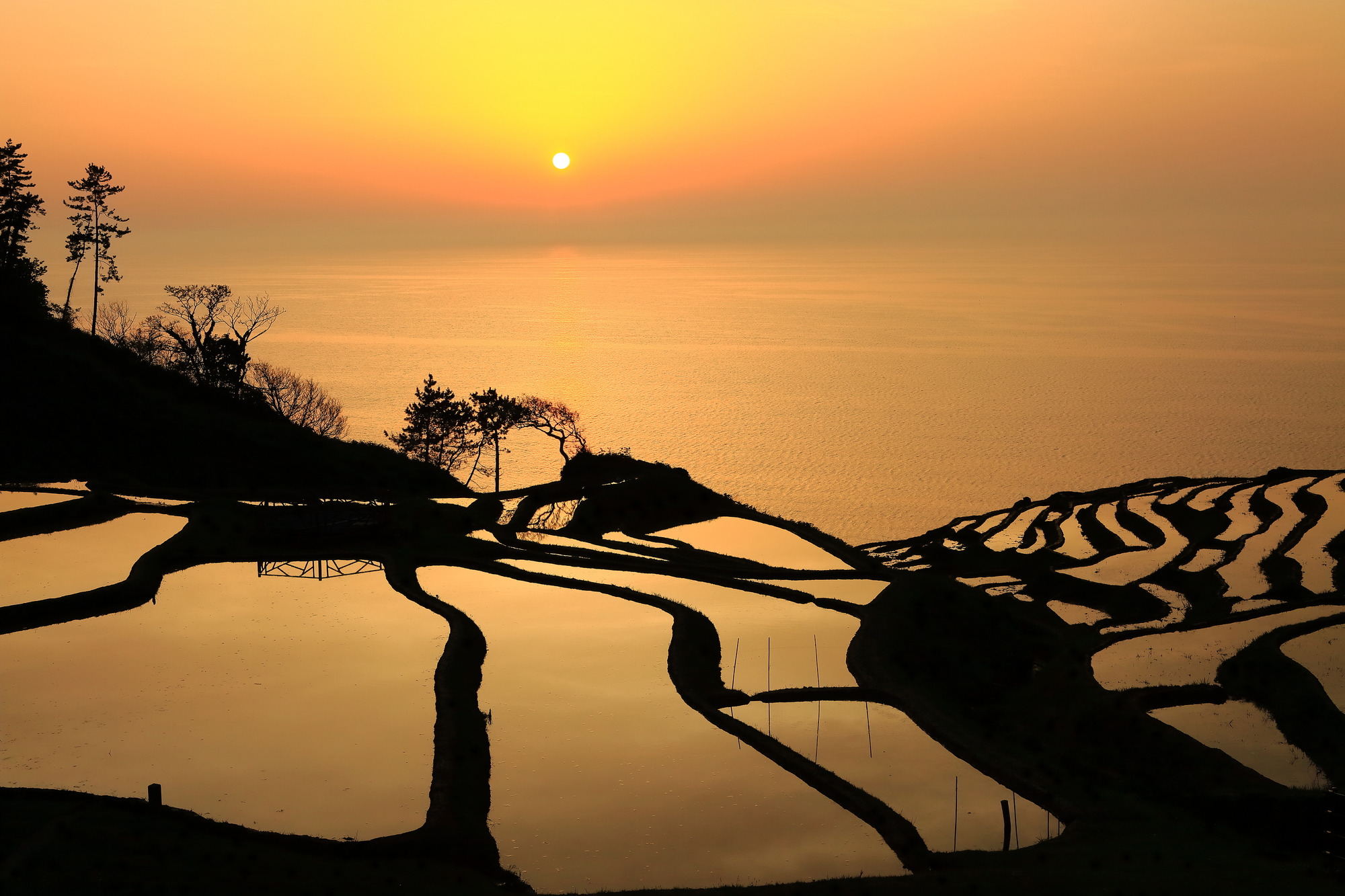 能登（能登半島）の魅力を徹底解説！人気のスポットやお祭り、グルメなど幅広くご紹介します