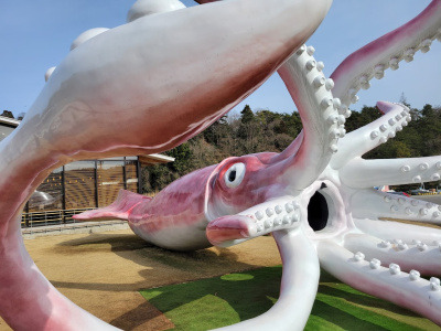 金沢から日帰り！能登東海岸ドライブ｜絶景の内浦とグルメ＆映えスポット満喫コース