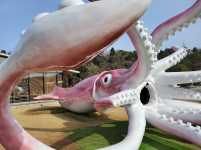 金沢から日帰り！能登東海岸ドライブ｜絶景の内浦とグルメ＆映えスポット満喫コース