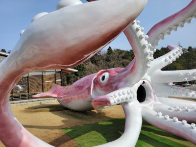 金沢から日帰り！能登東海岸ドライブ｜絶景の内浦とグルメ＆映えスポット満喫コース