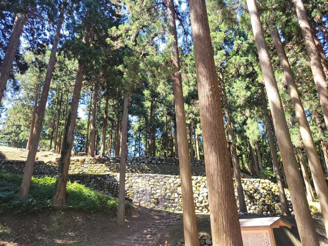 能登半島地震を乗り越えて｜七尾城山の歴史・復興の姿を歩く旅