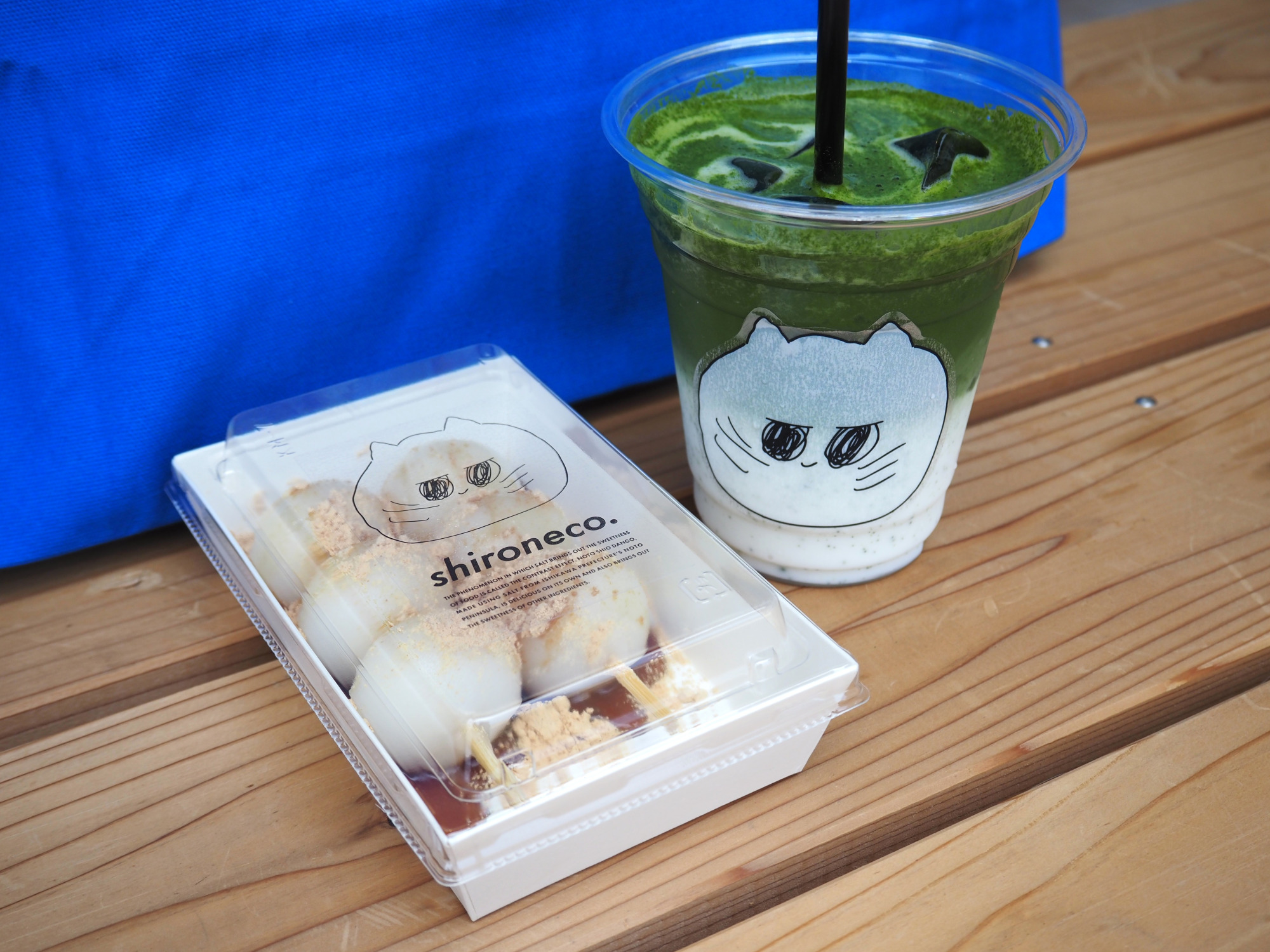 【金沢から電車で行く能登旅】七尾・和倉温泉日帰りモデルコース｜グルメと観光を満喫