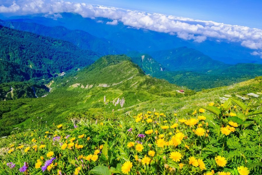 日本三名山のひとつ、白山をご紹介！