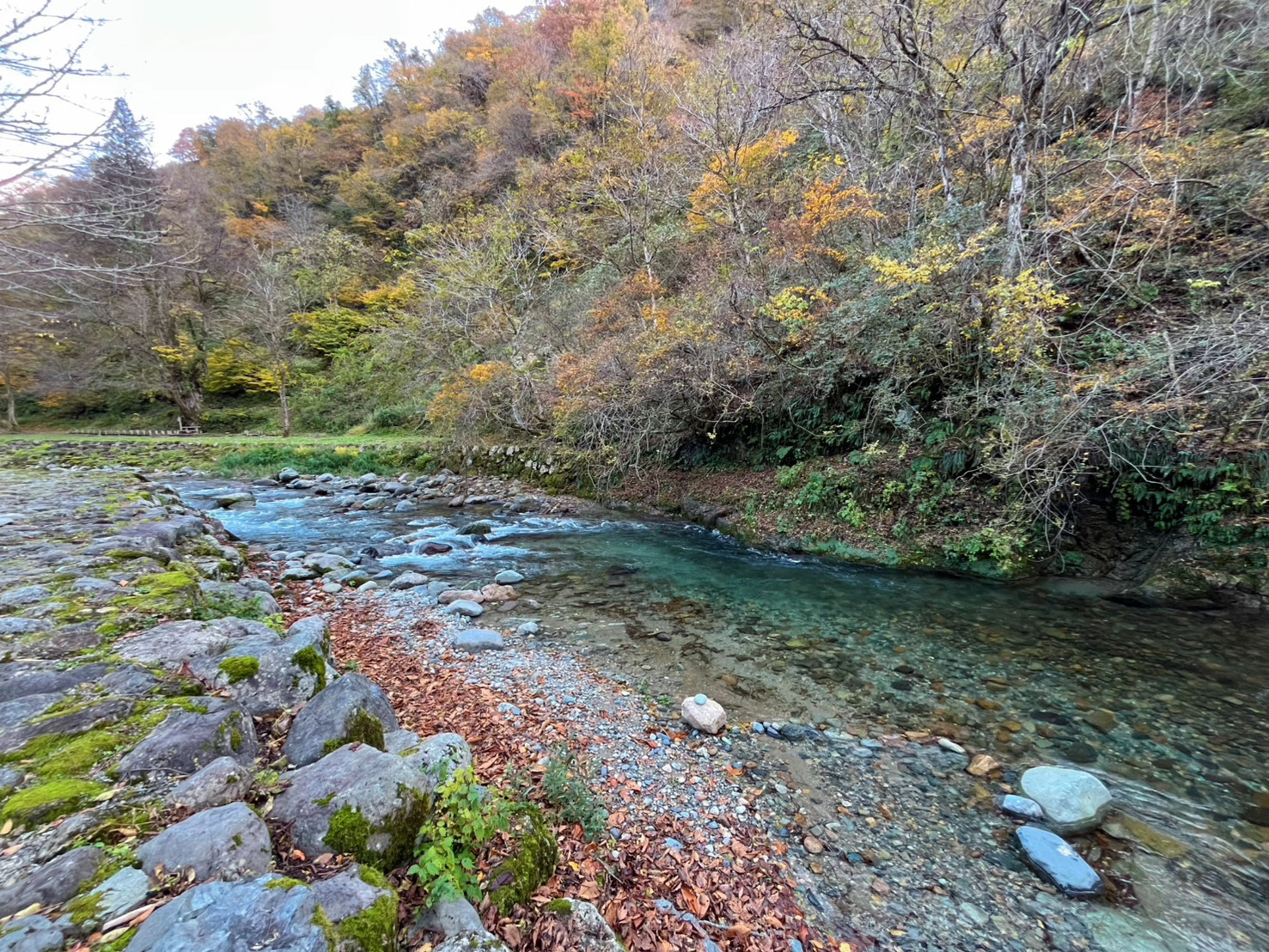 石川秋の絶景４選│紅葉・コスモスなどノスタルジー感じる自然ふれあい旅