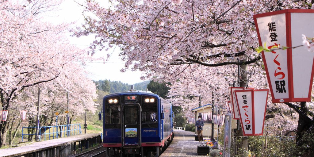 能登鹿島駅のホームを覆う桜は、鉄道ファンならずとも感激の絶景