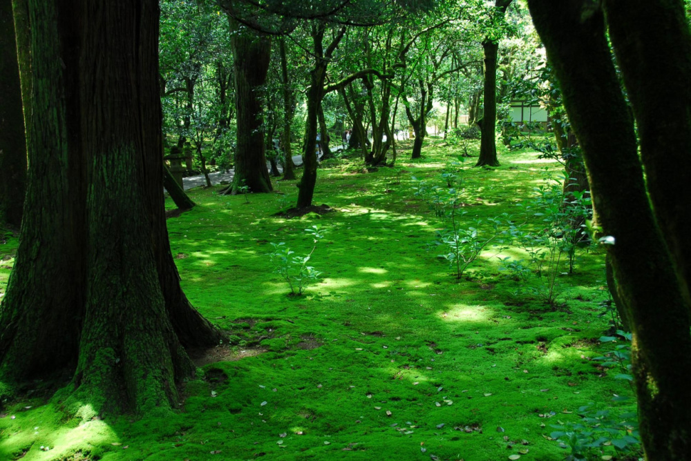石川県民おすすめ！「石川・金沢の絶景の観光地」10選｜特集｜【公式】石川県の観光/旅行サイト「ほっと石川旅ねっと」
