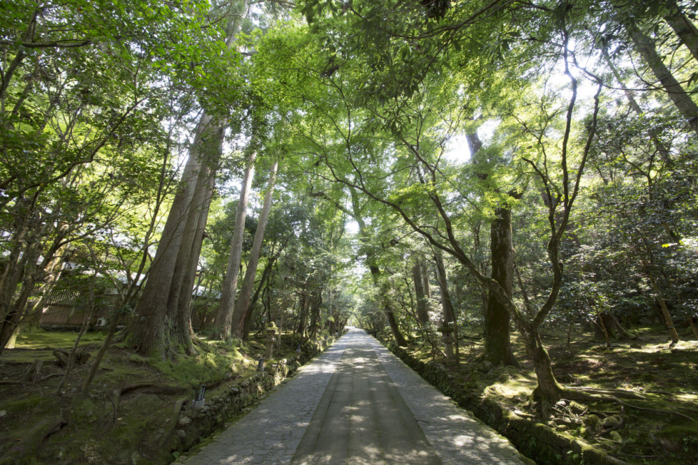 石川県民おすすめ！「石川・金沢の絶景の観光地」10選｜特集｜【公式】石川県の観光/旅行サイト「ほっと石川旅ねっと」