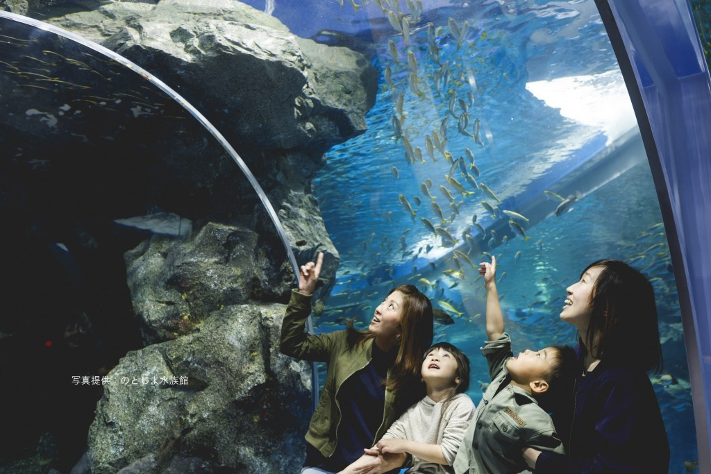 回遊魚を見てみよう！のとじま水族館　海遊回廊