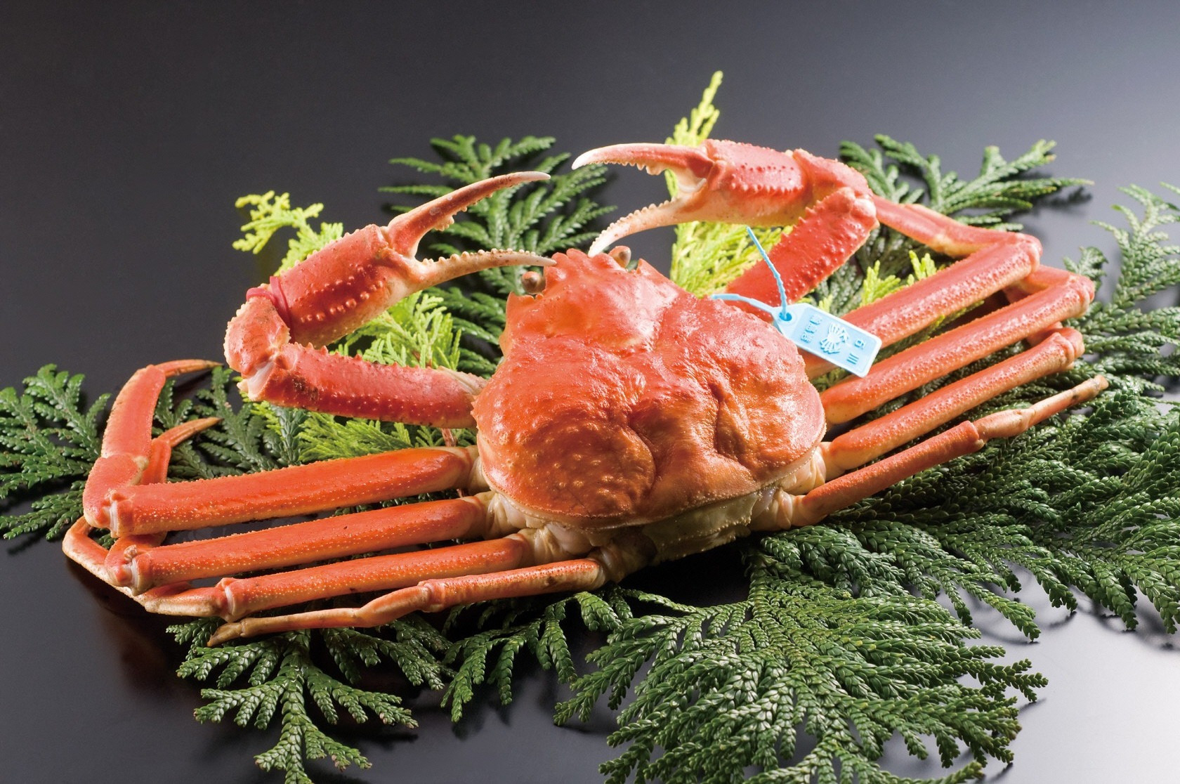 加能ガニ（オスのズワイガニ）