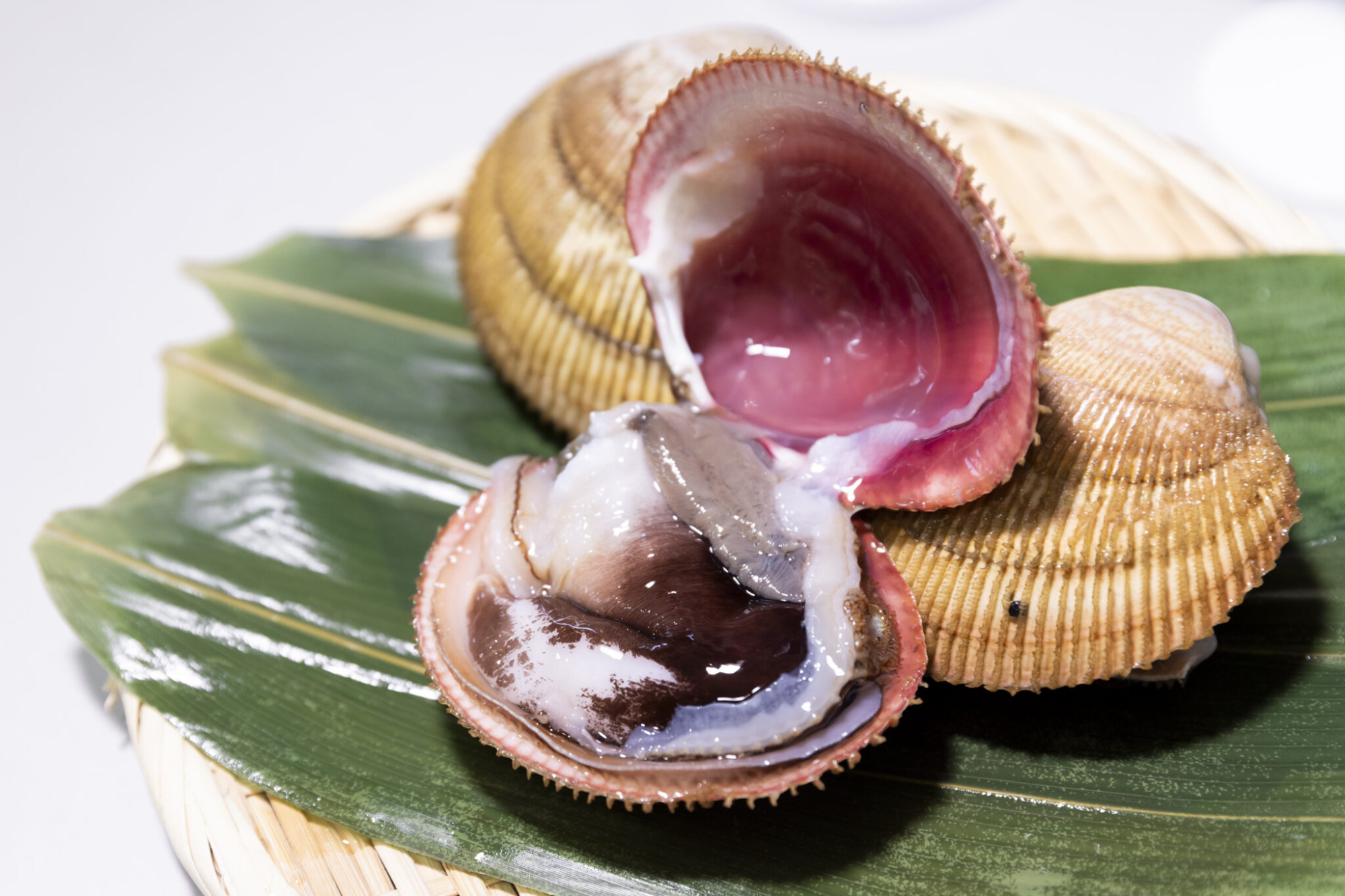 １コ６万円！？プレミアムな能登とり貝