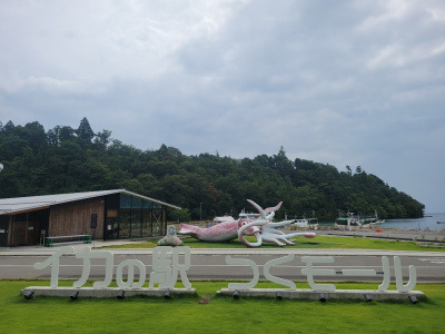 酒味房ひりゅう　つくモールイカの駅店/いかふぇ