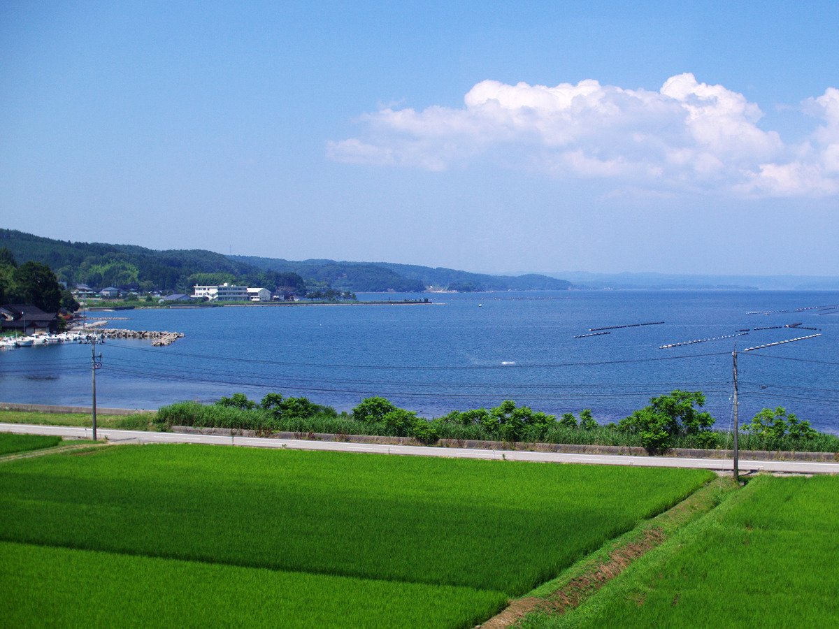 のと鉄道車窓からの景色