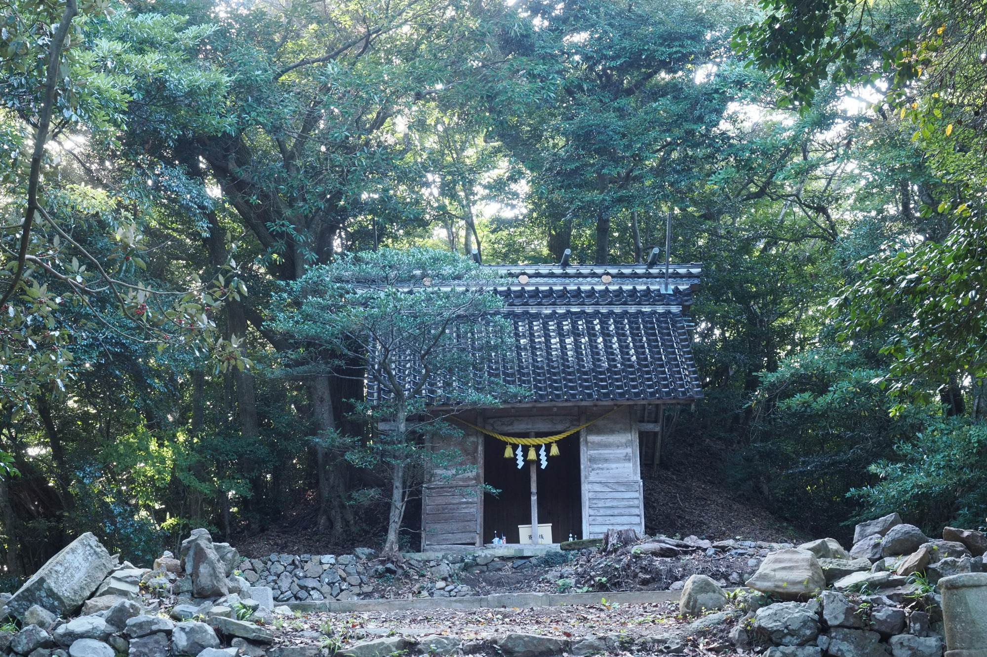 山伏山社叢（珠洲神社奥宮）