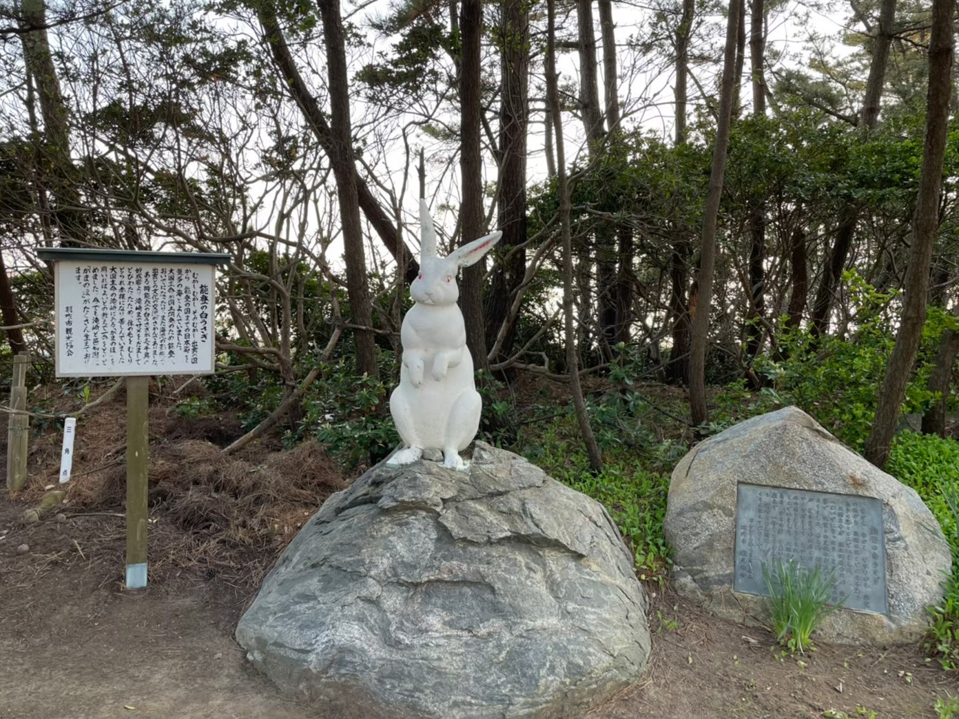 能登の白うさぎ（長手島）