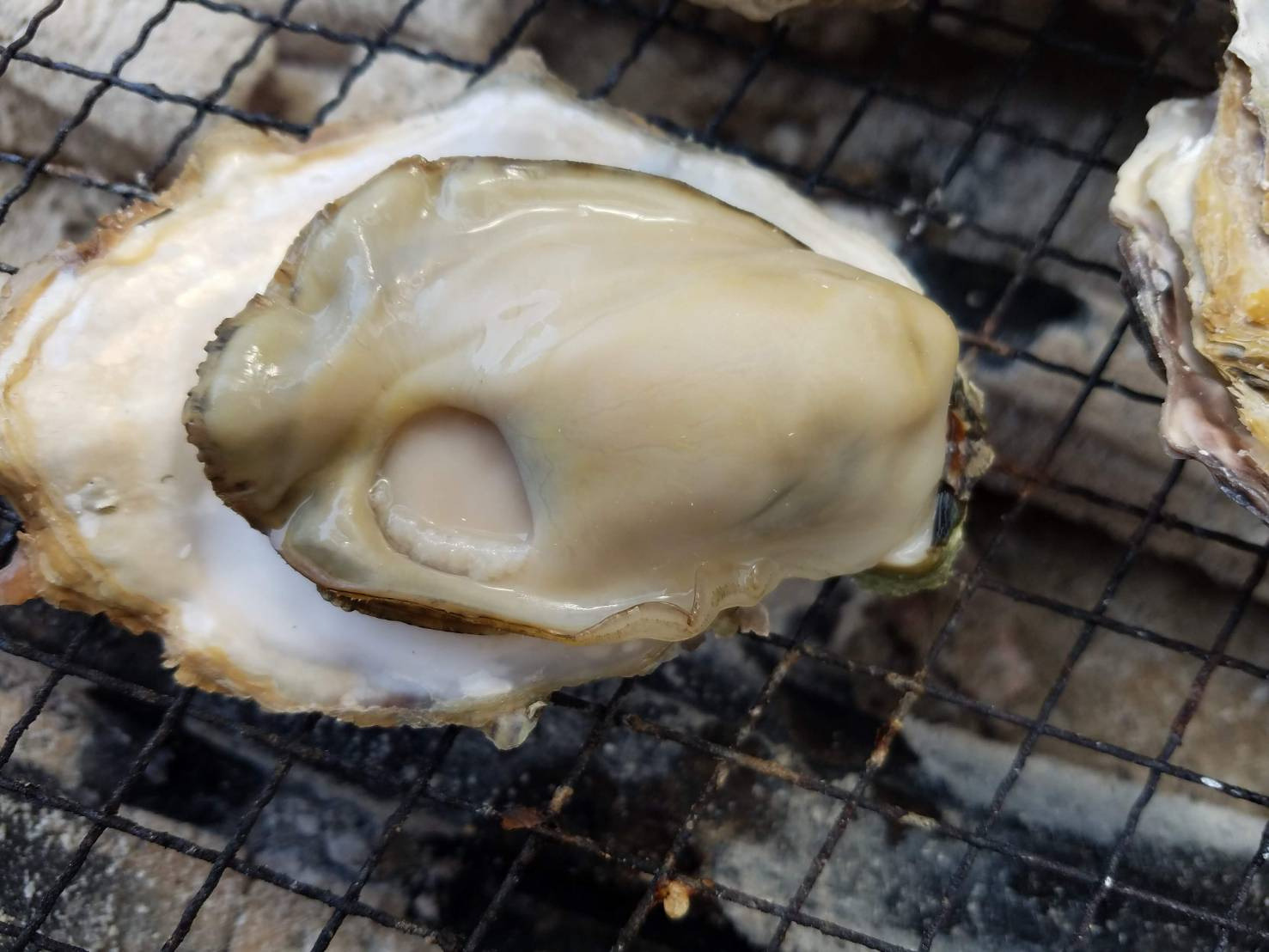 提供：フレッシュパニエのと