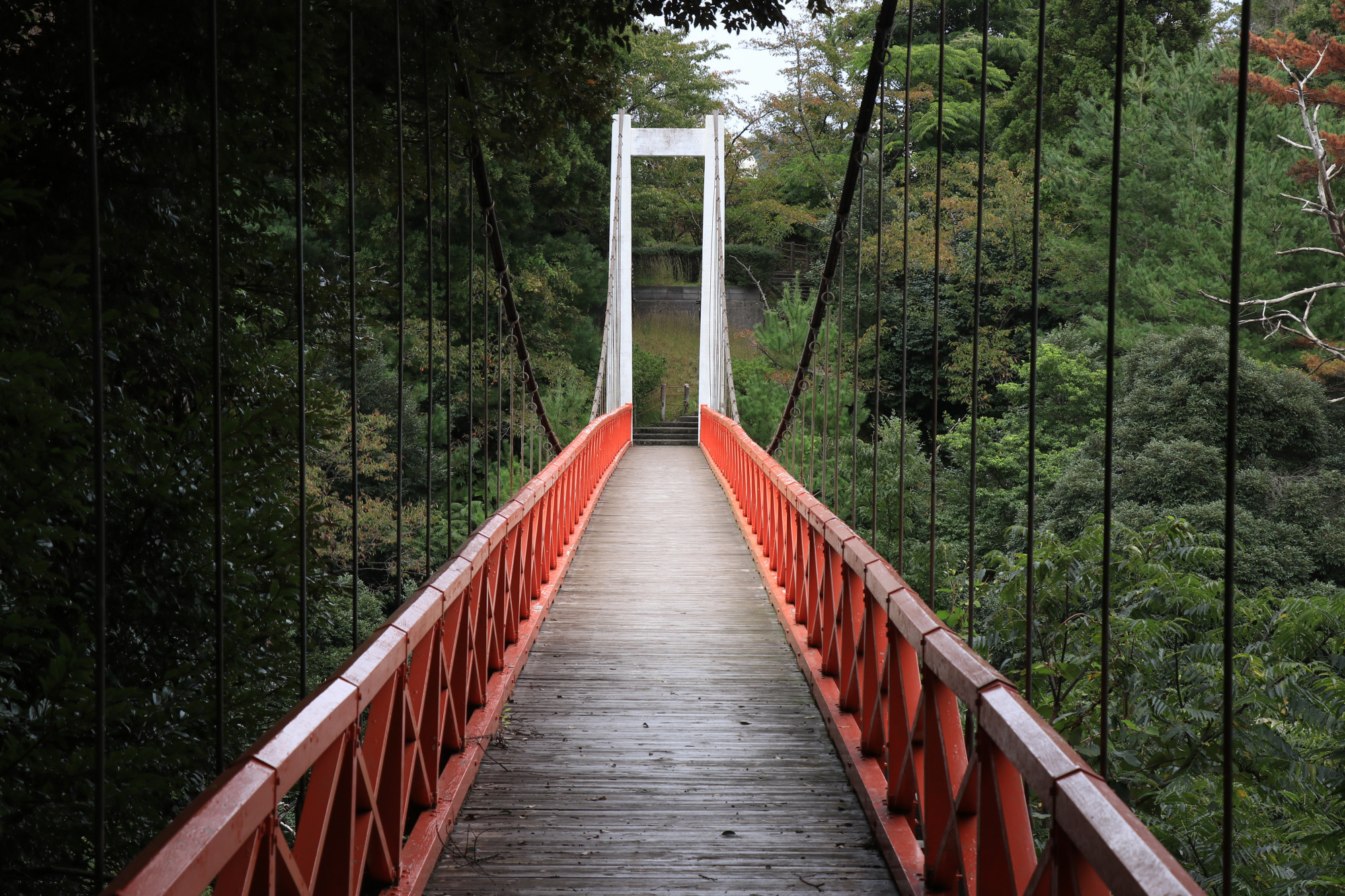 「しらさぎ橋」