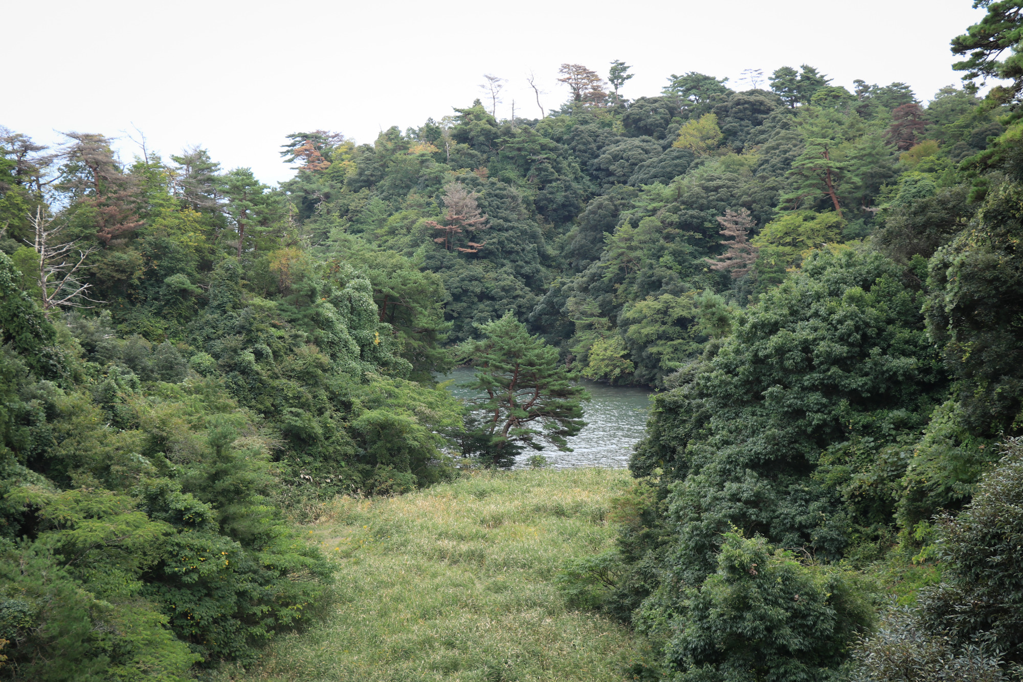 「しらさぎ橋」より望む
