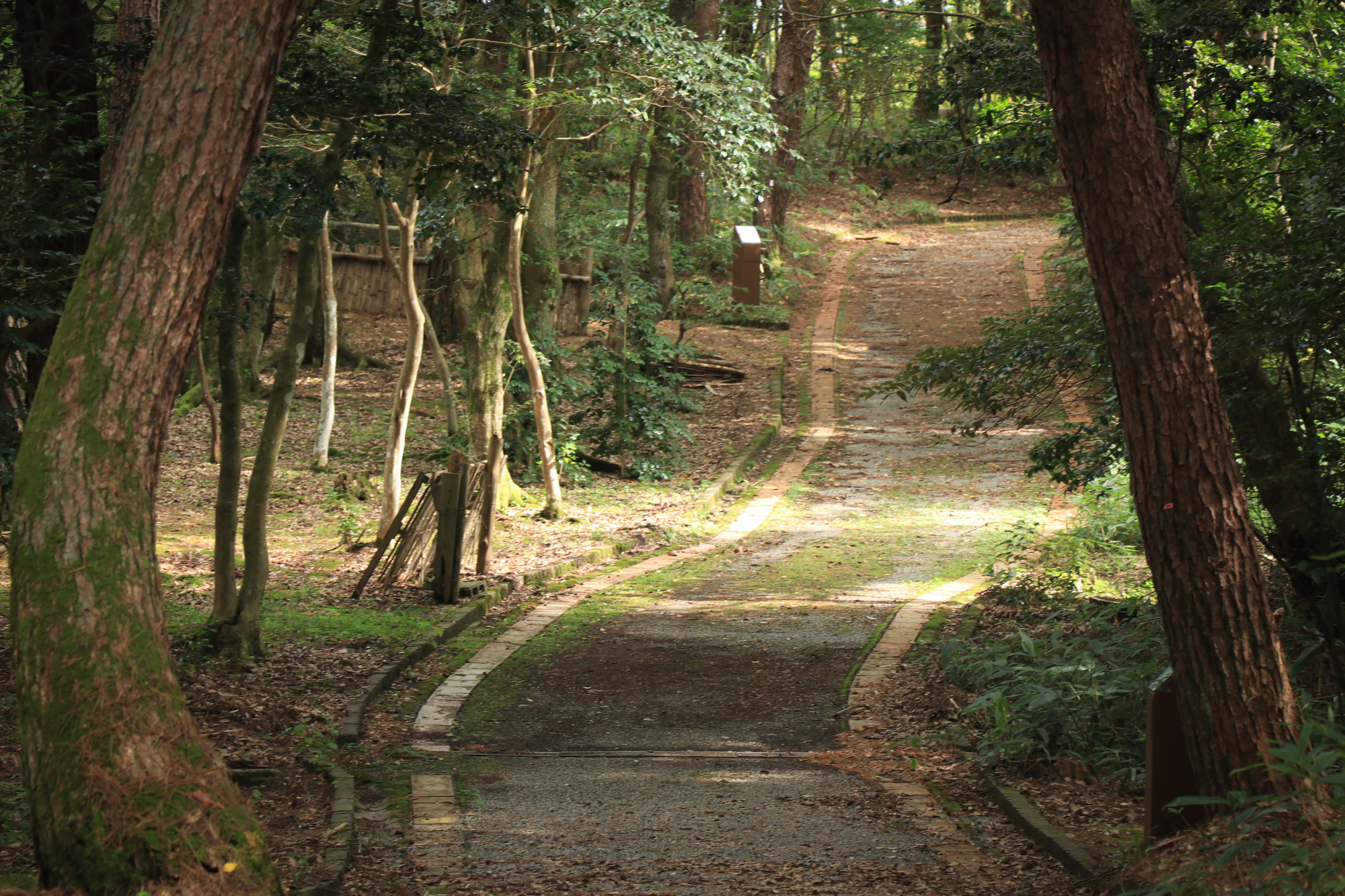 「潮騒の小径」