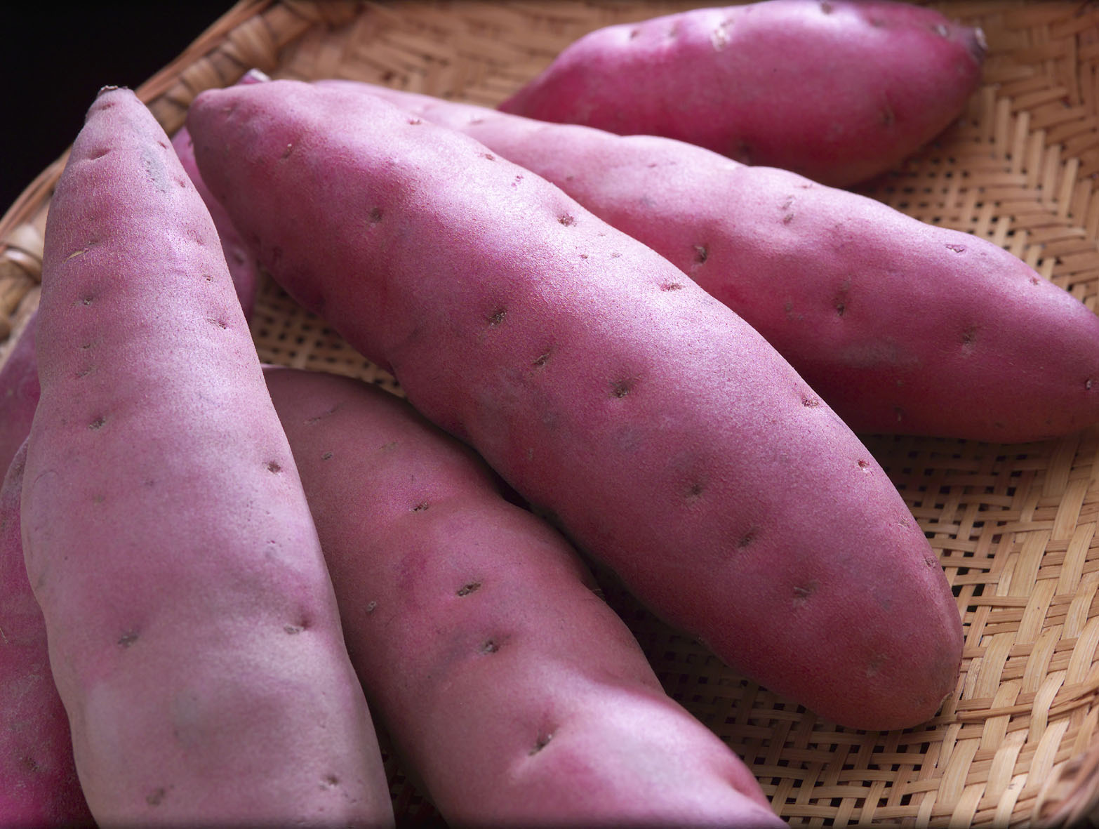 提供：「能登の里山里海」世界農業遺産活用実行委員会