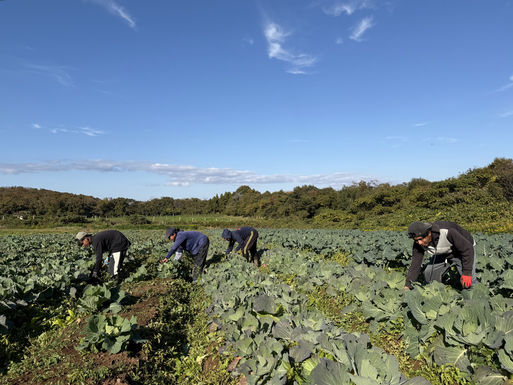 スタッフとして働く特定技能実習生たち