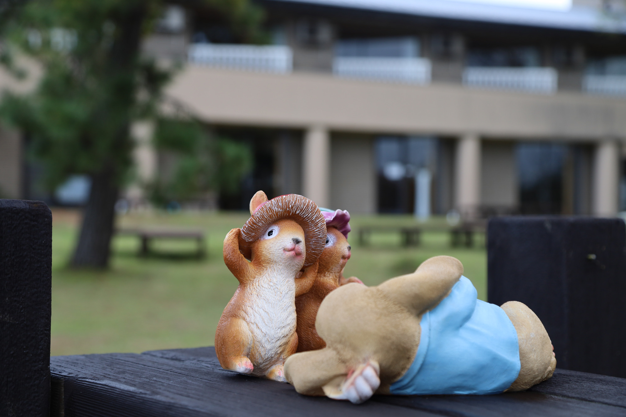 庭にはちょっとした遊具もあります