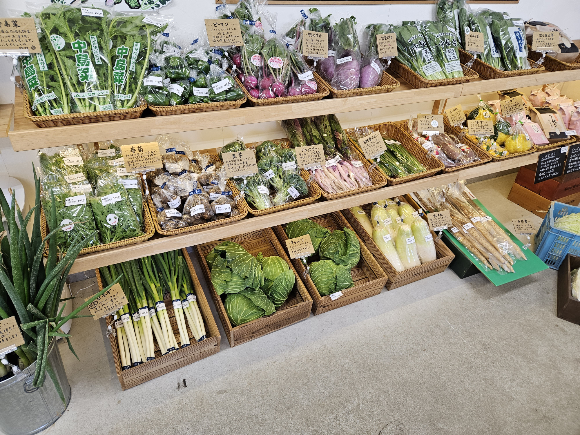 提供：フレッシュパニエのと