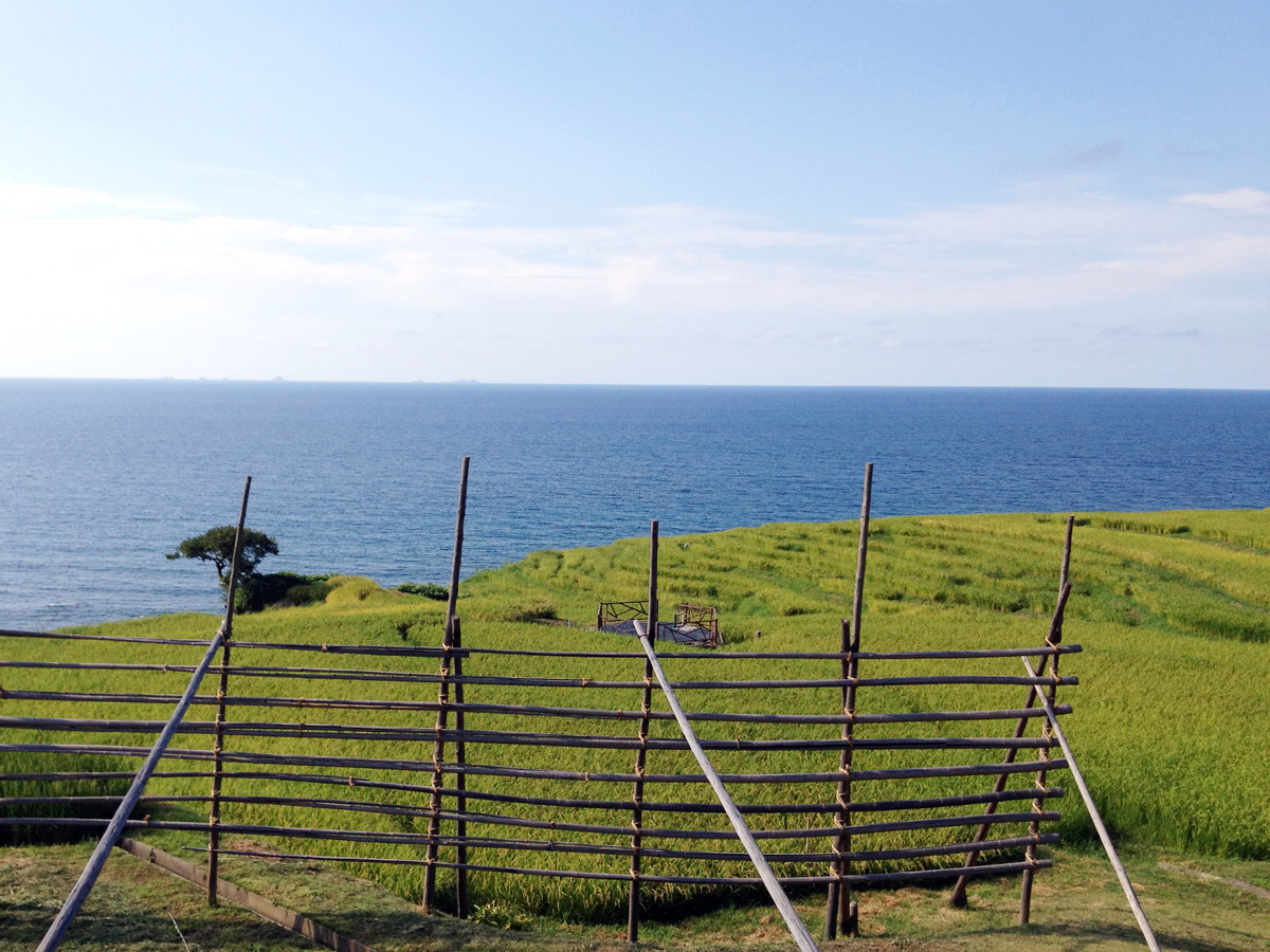 白米千枚田